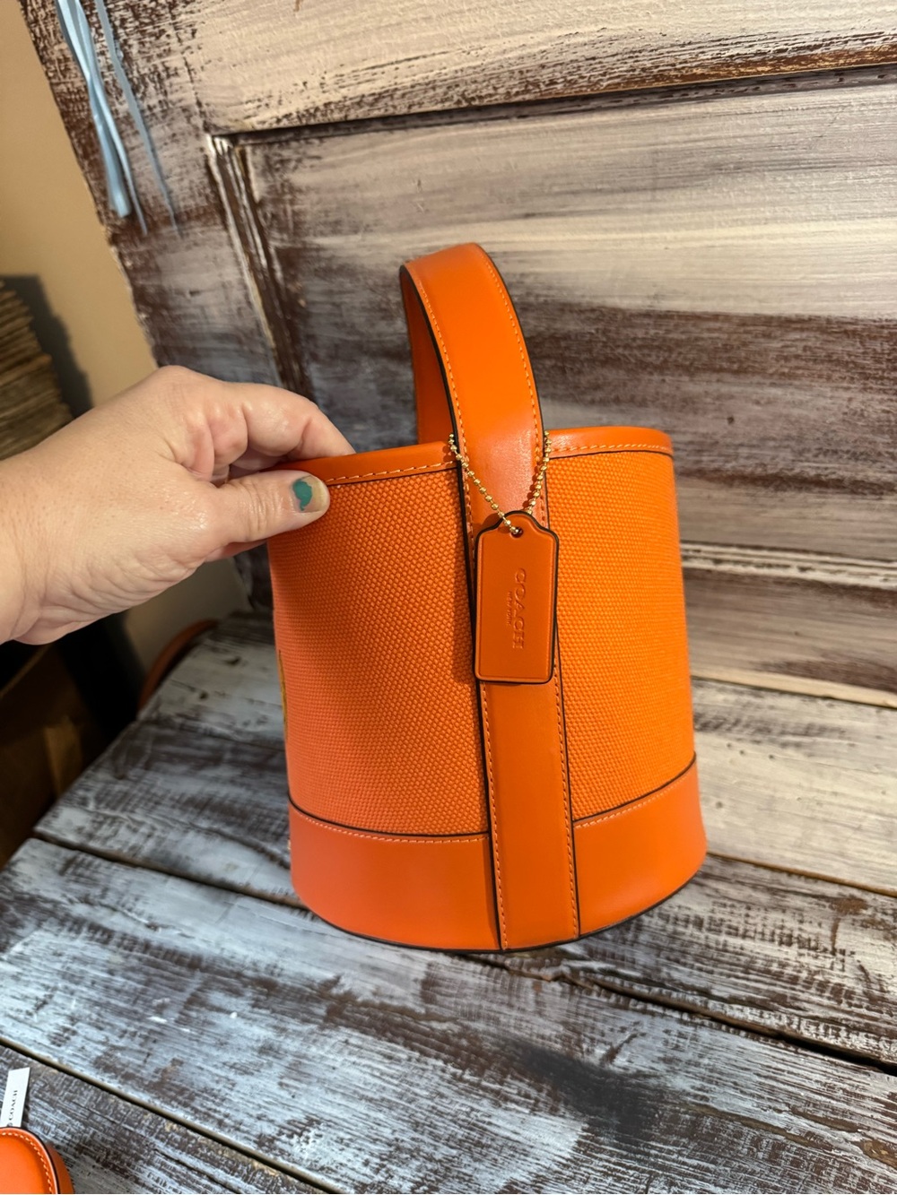 Coach Orange Halloween Jack-O'-Lantern Bucket Bag with Pumpkin Coin Pouch - Picture 7 of 16